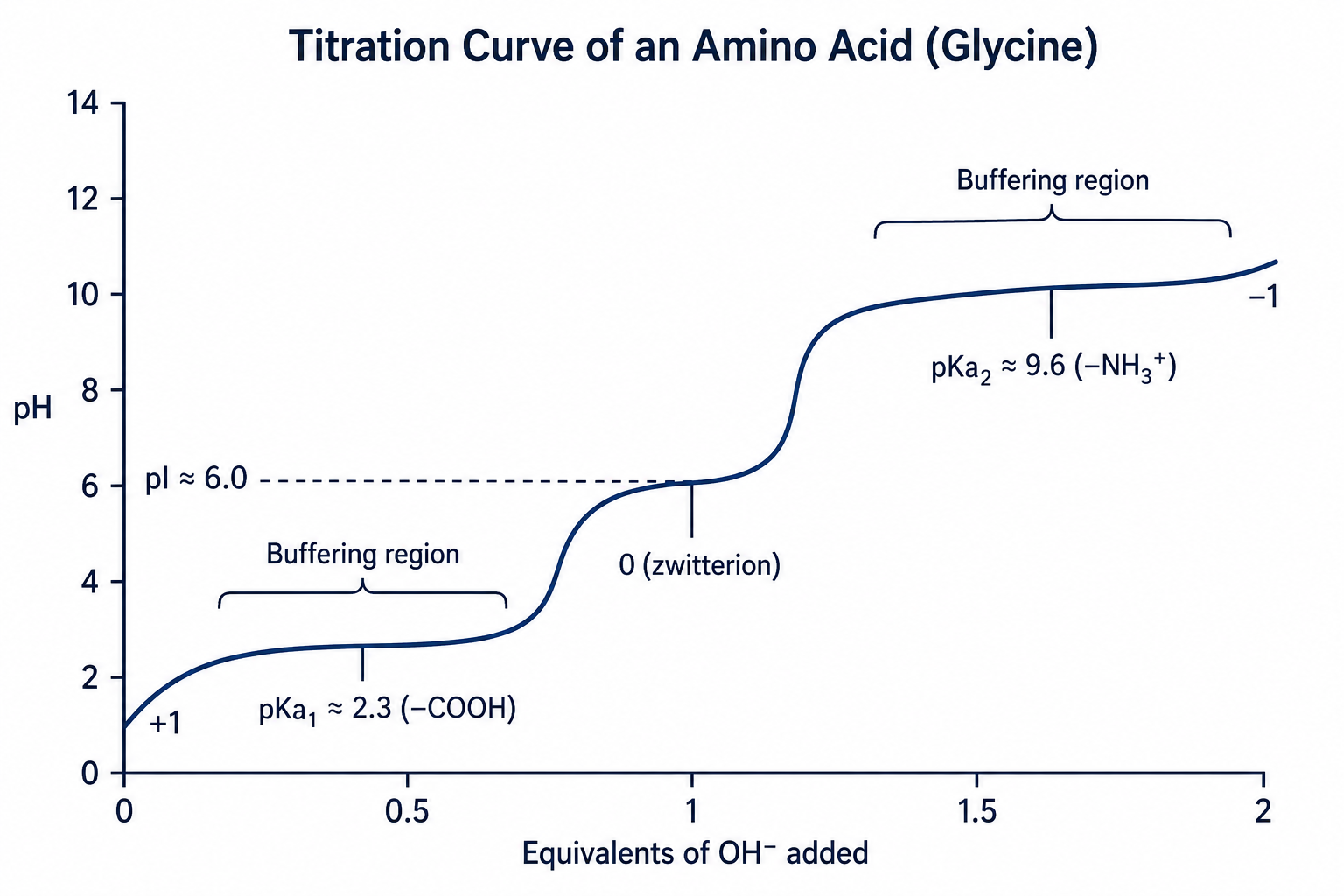 A titration curve for the amino acid glycine: pH on the y-axis versus equivalents of hydroxide added on the x-axis. The curve has two flat buffering regions centered on pKa₁ ≈ 2.3 (the carboxyl group) and pKa₂ ≈ 9.6 (the amino group), with the isoelectric point pI ≈ 6.0 at the steep midpoint between them; the dominant charge shifts from +1 to 0 (zwitterion) to −1 as pH rises.