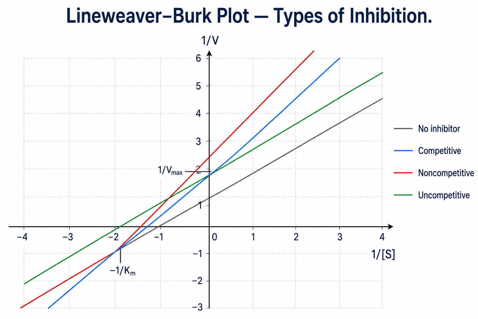 A Lineweaver–Burk (double-reciprocal) plot of 1/V versus 1/[S] comparing four enzyme conditions. The grey 'no inhibitor' control crosses the y-axis at 1/Vmax and the x-axis at −1/Km. The blue competitive line shares the control's y-intercept (same 1/Vmax) but is steeper, with an x-intercept closer to zero. The red noncompetitive line shares the control's x-intercept (same −1/Km) but has a higher y-intercept. The green uncompetitive line is parallel to the control, shifted up.