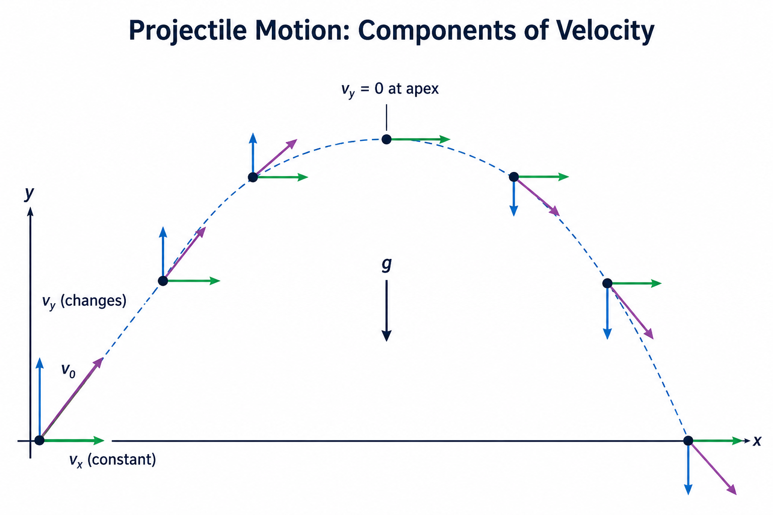 A projectile's parabolic path with velocity drawn at several points, each resolved into a constant horizontal component (vₓ) and a changing vertical component (v_y); at the apex v_y = 0 while vₓ is unchanged, and gravity g points downward throughout.
